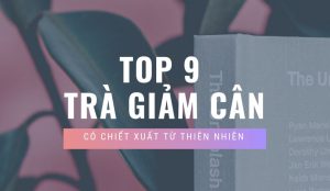 Top 9 trà giảm cân có chiết xuất từ thiên nhiên