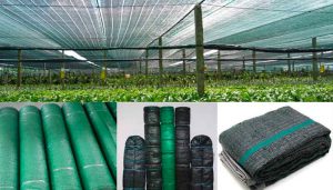 Các loại lưới che nắng