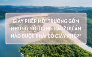 giấy phép môi trường