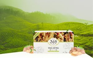 thương hiệu trà thảo mộc 365