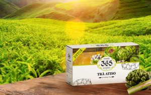 trà túi lọc thanh lọc cơ thể 365