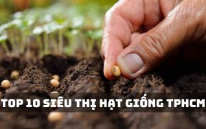 siêu thị hạt giống tphcm
