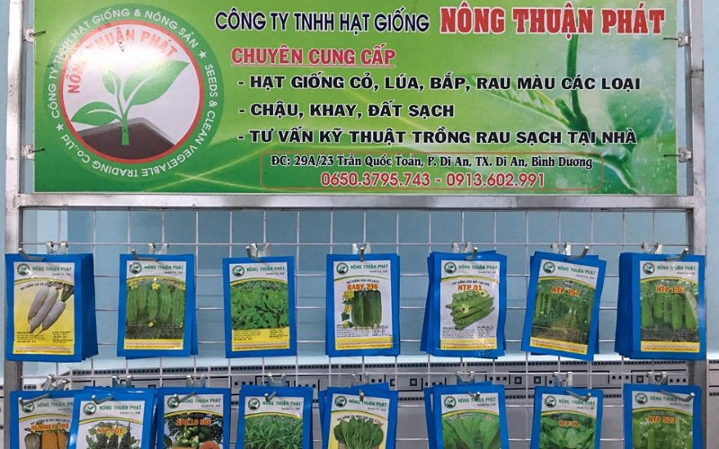 Hạt giống rau tại Nông Thuận Phát