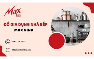 Max Vina