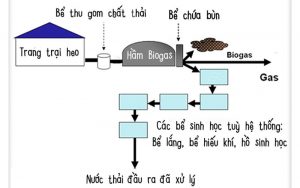 Xử lý nước thải chăn nuôi bằng biogas