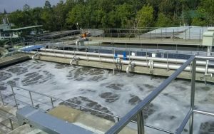tính chất của nước thải chăn nuôi