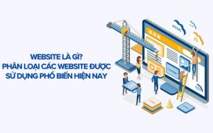 website là gì