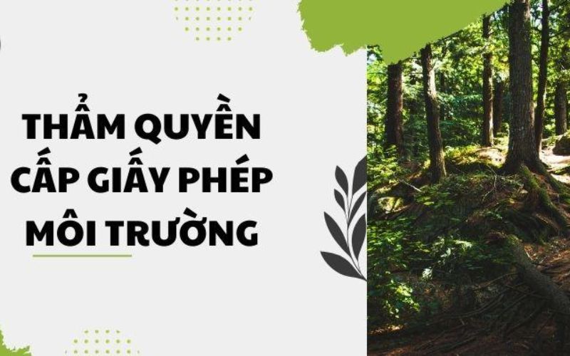 cơ quan cấp giấy phép môi trường