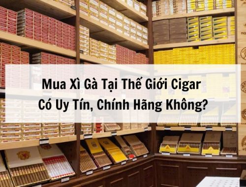 Mua xì gà tại Thế Giới Cigar uy tín chính hãng 100%