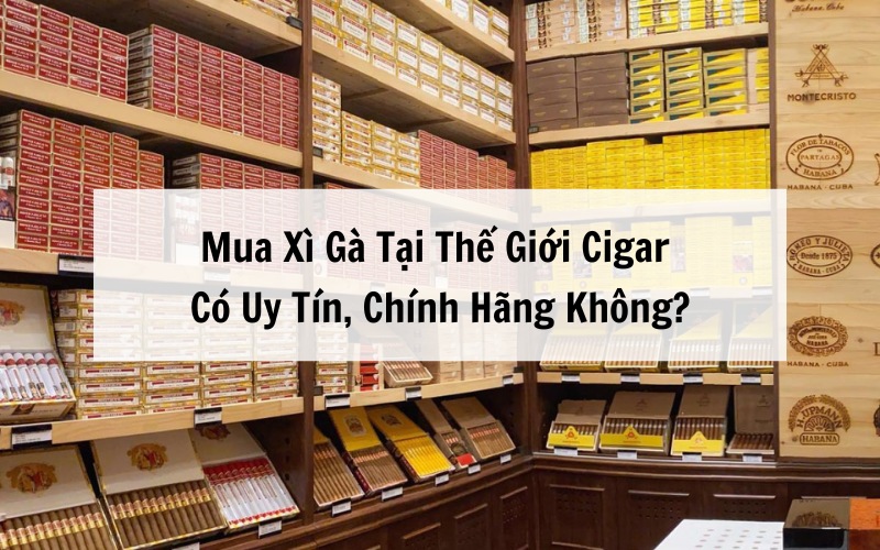 Mua xì gà tại Thế Giới Cigar uy tín chính hãng 100%