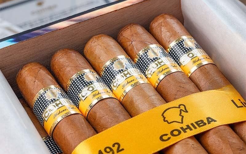 Cohiba Siglo VI được ưa chuộng nhiều