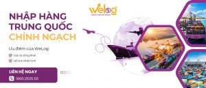 dịch vụ nhập hàng trung quốc welog