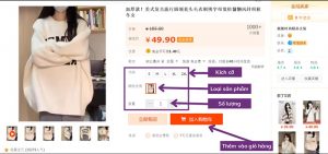 chọn sản phẩm đưa vào giỏ hàng