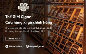 thế giới xì gà