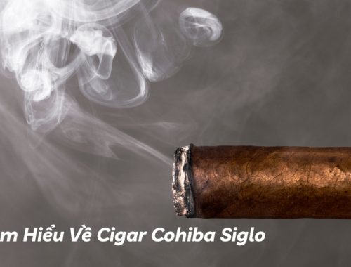 tìm hiểu về cigar cohiba siglo