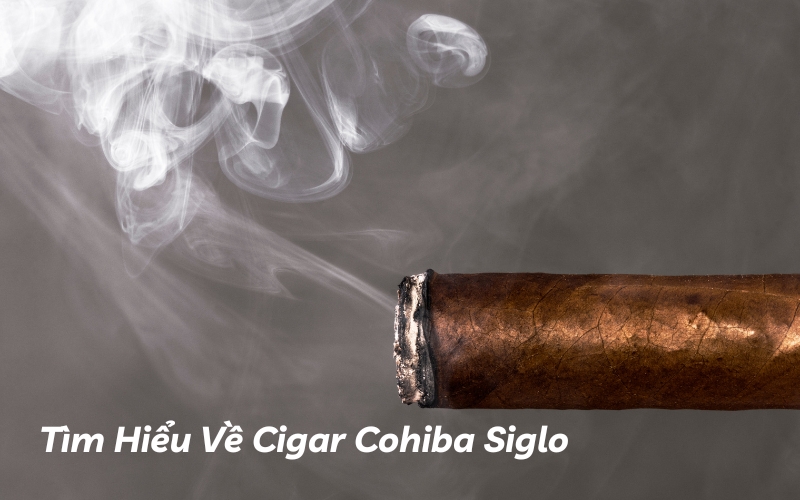 tìm hiểu về cigar cohiba siglo