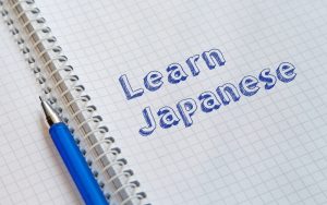 thiết lập lộ trình học phù hợp với từng cấp độ