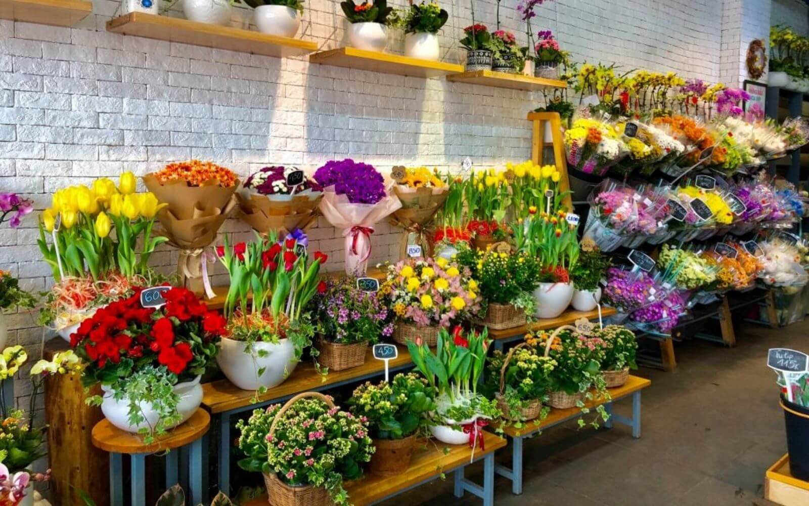 Dalat Hasfarm bán hoa tươi HCM Dalat Hasfarm bán hoa tươi HCM