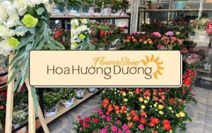 Shop Hoa Hướng Dương - địa điểm bán hoa tươi tại Sài Gòn