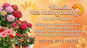Shop Hoa Hướng Dương - địa điểm bán hoa tươi tại Sài Gòn