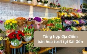 Khám phá 10 địa điểm bán hoa tươi tại Sài Gòn đẹp, giá rẻ nhất