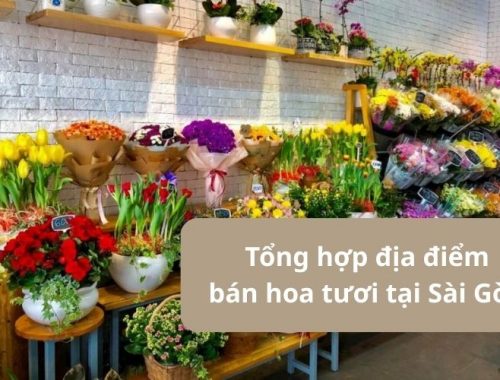 Khám phá 10 địa điểm bán hoa tươi tại Sài Gòn đẹp, giá rẻ nhất