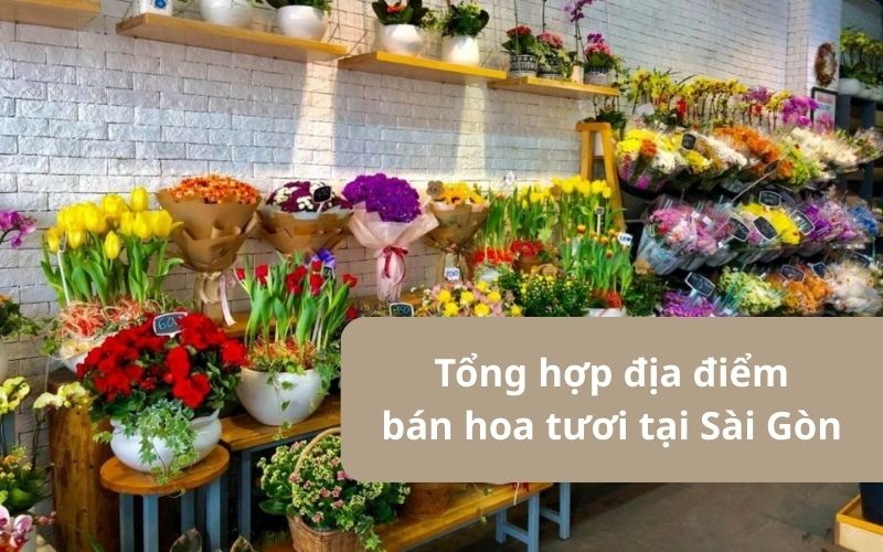 Khám phá 10 địa điểm bán hoa tươi tại Sài Gòn đẹp, giá rẻ nhất