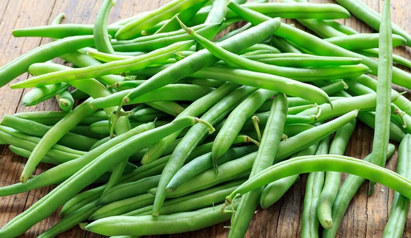 Hạt giống đậu que