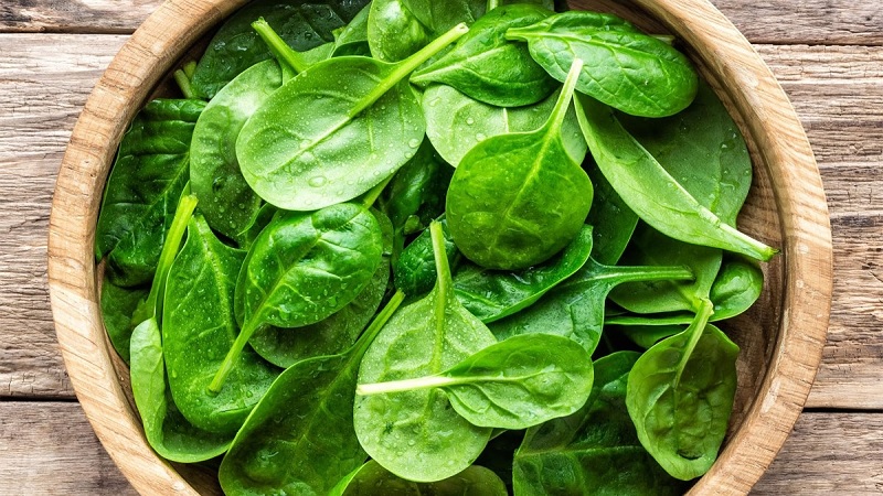 Hạt giống mồng tơi